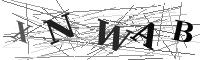 Please refresh your browser to see this image.